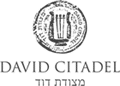 DAVID CITADEL מצודת דו