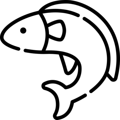 מתאים לדגים