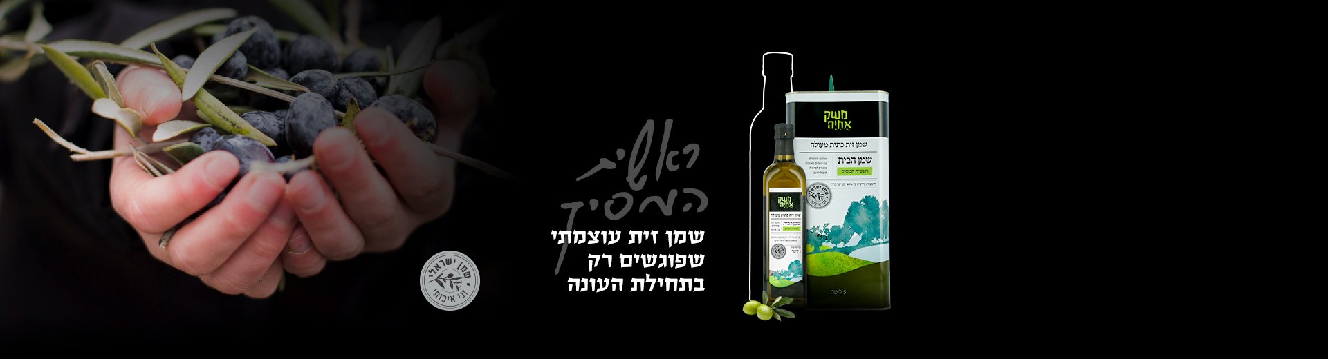 ראשית המסיק שמן זית עוצמתי שפוגשים רק בתחילת העמונה