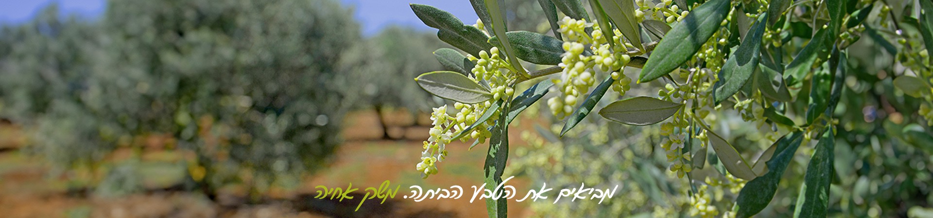 מביאים את הטבע הביתה. משק אחיה